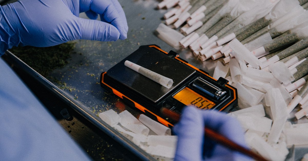 Using scale to measure for exact weight . 