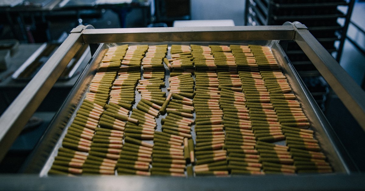 A try full of pre-rolled cones . 