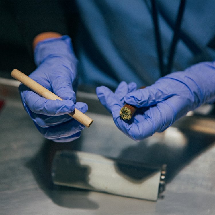 bluntd and Xylem pre rolls